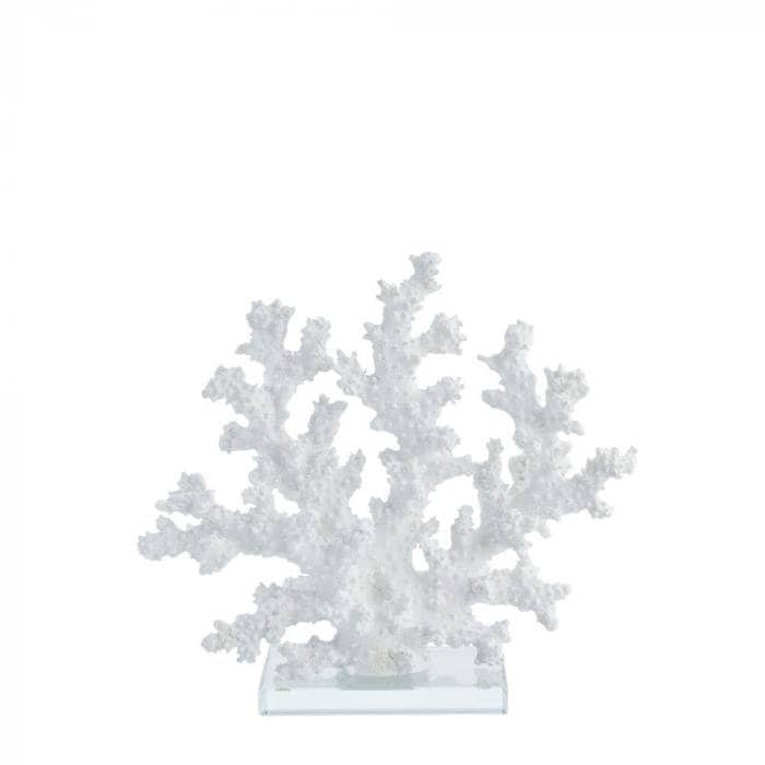 Elegant White Coral Decorative Ornament for Coastal Home Decor