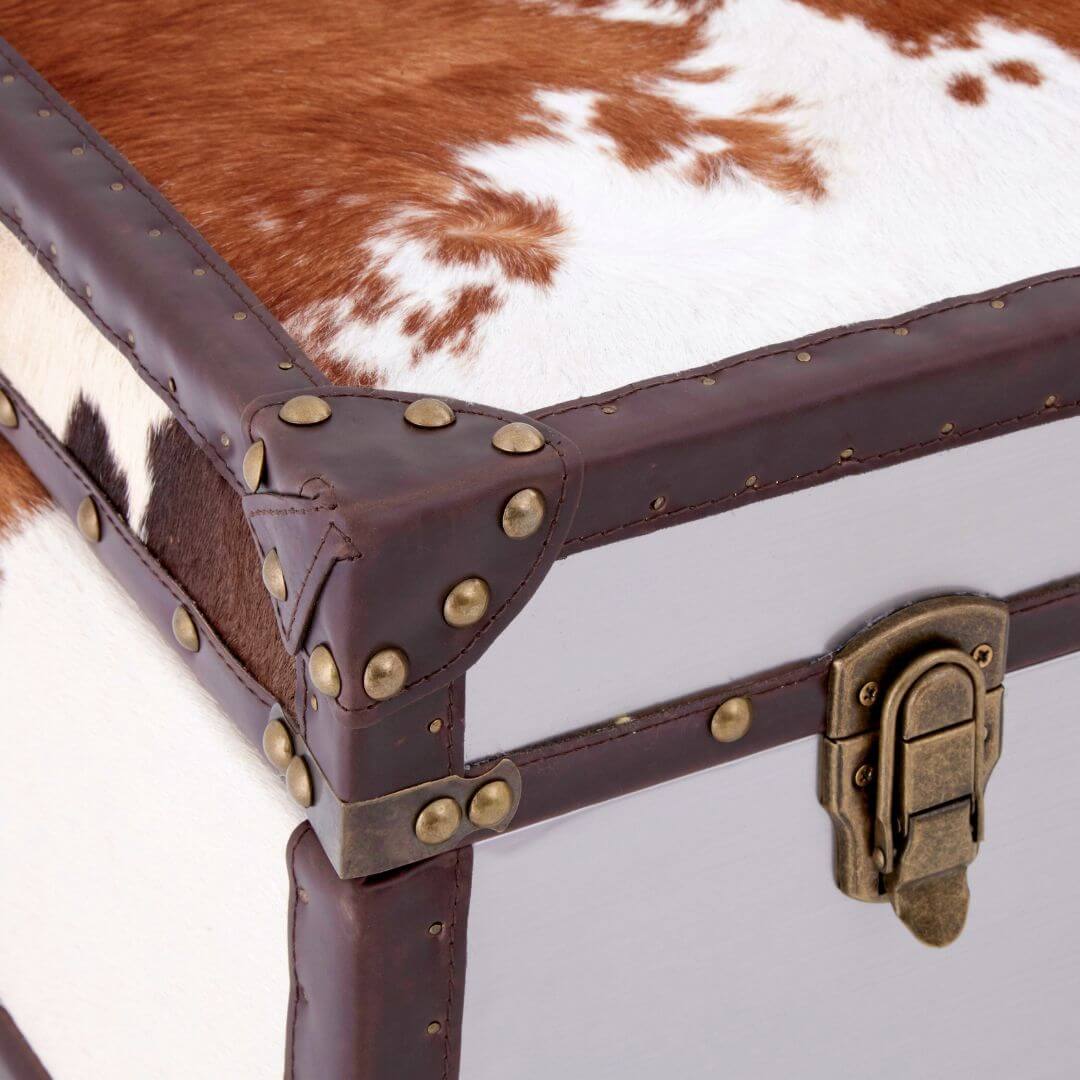 Chelsea Townhouse Stylish Brown and White Cowhide Cabinet