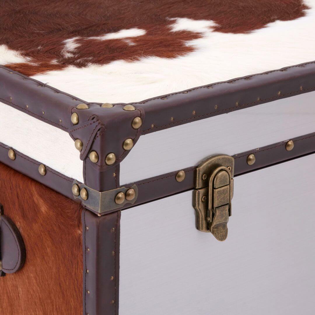 Chic Chelsea Townhouse Cowhide Storage Trunk - Brown & White Accent