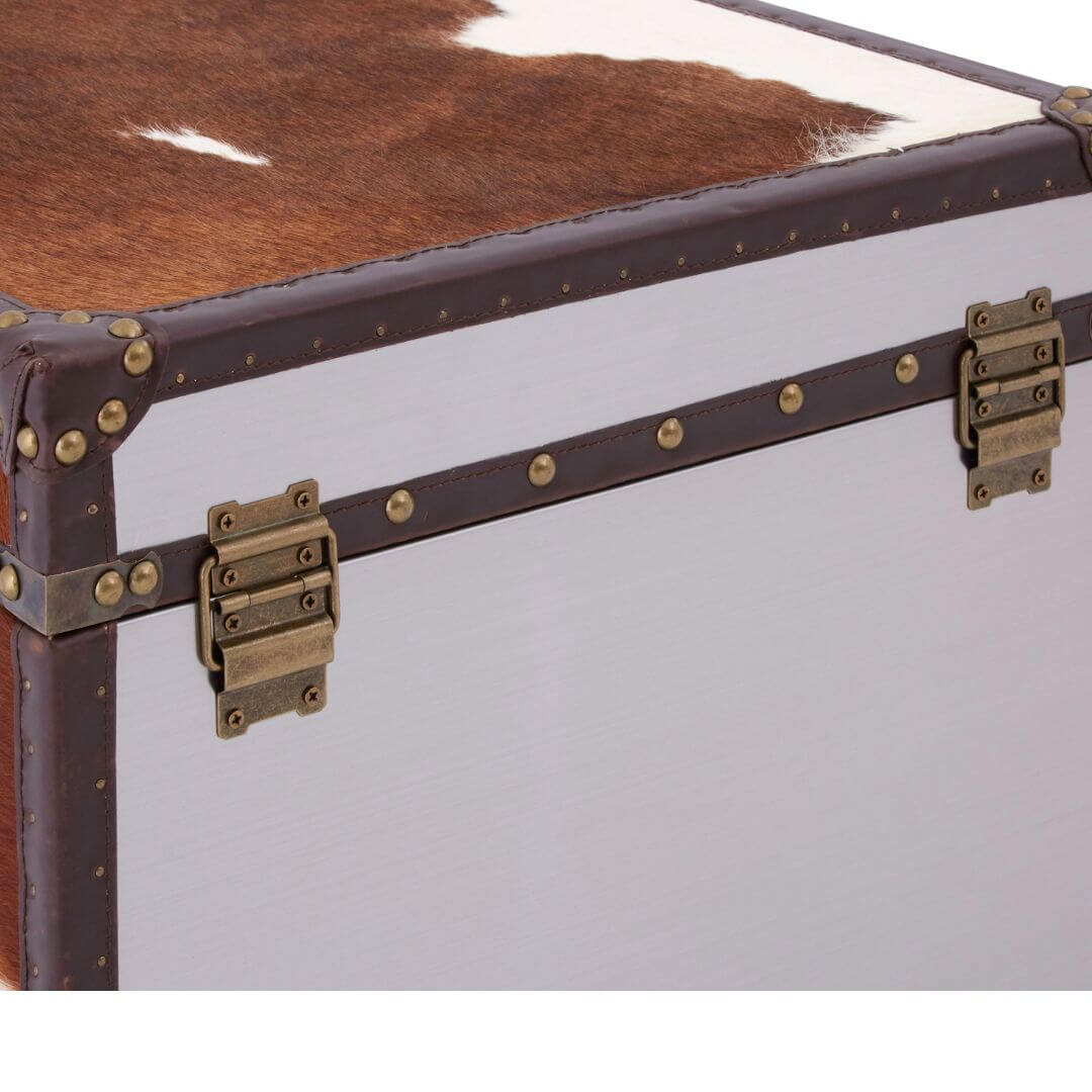 Stylish Chelsea Townhouse Cowhide Storage Trunks - Duo Set