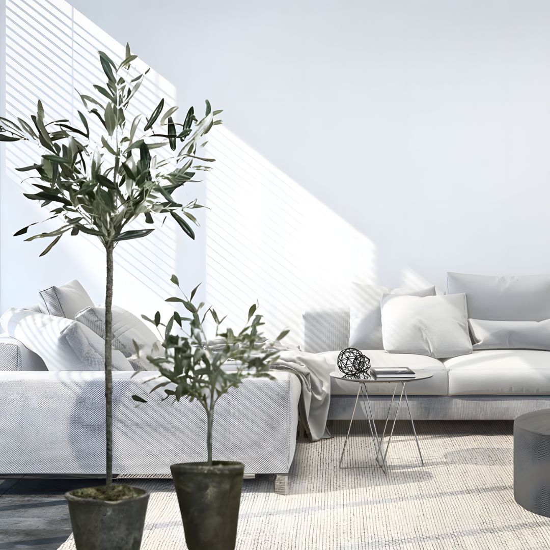 Mediterranean Home Decor Olive Tree in Pot