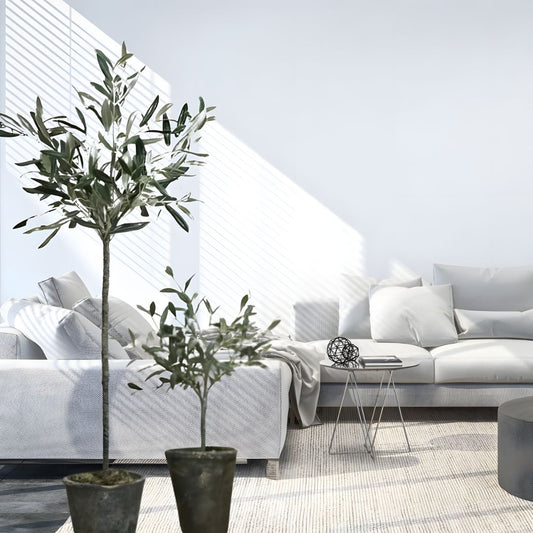 Mediterranean Home Decor Olive Tree in Pot