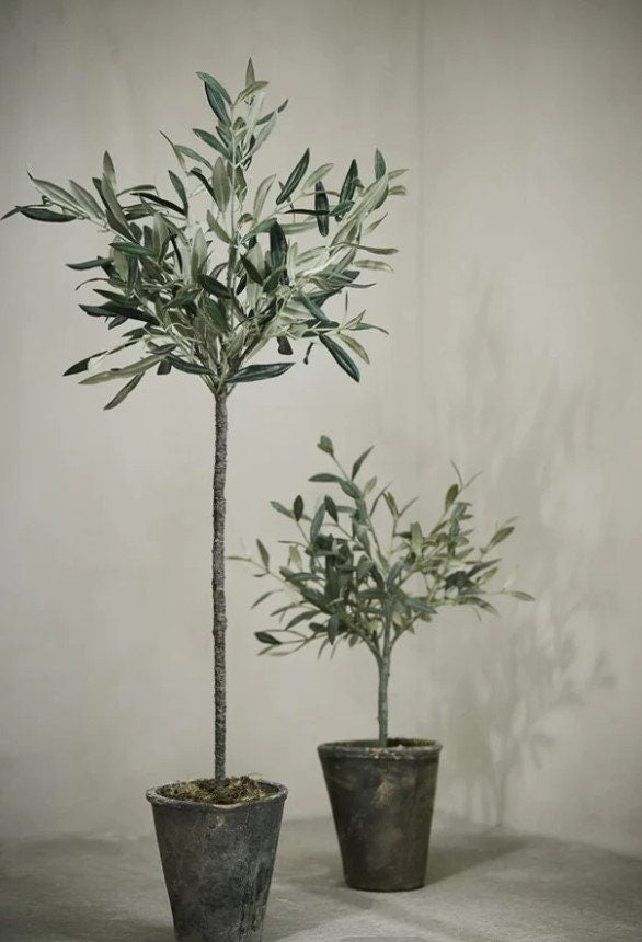 Mediterranean Home Decor Olive Tree in Pot