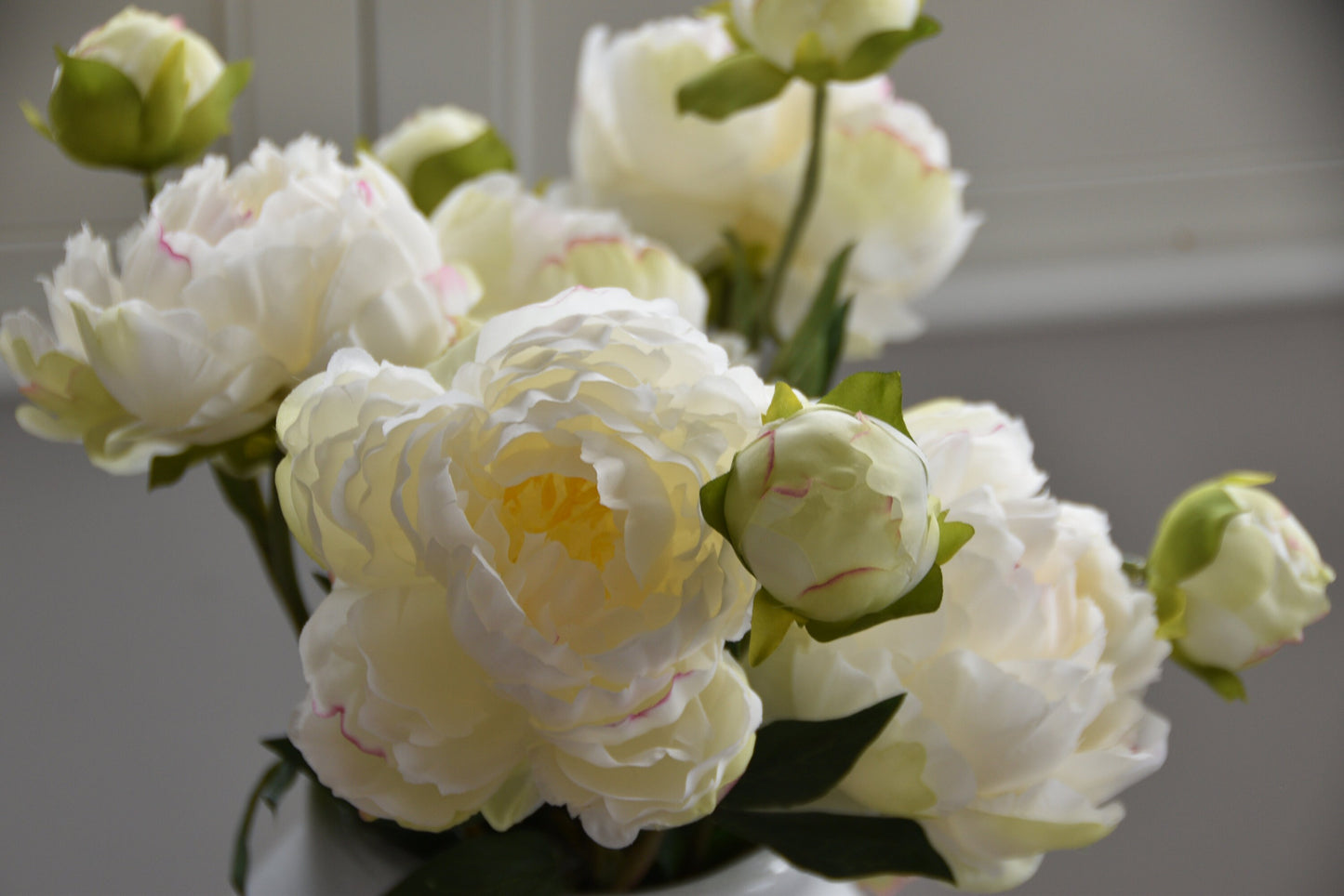 Bunch of Three White Peony Stems