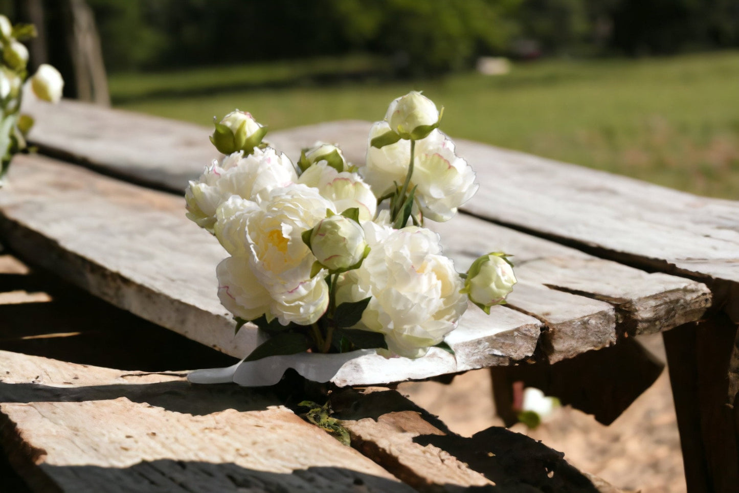 Bunch of Three White Peony Stems