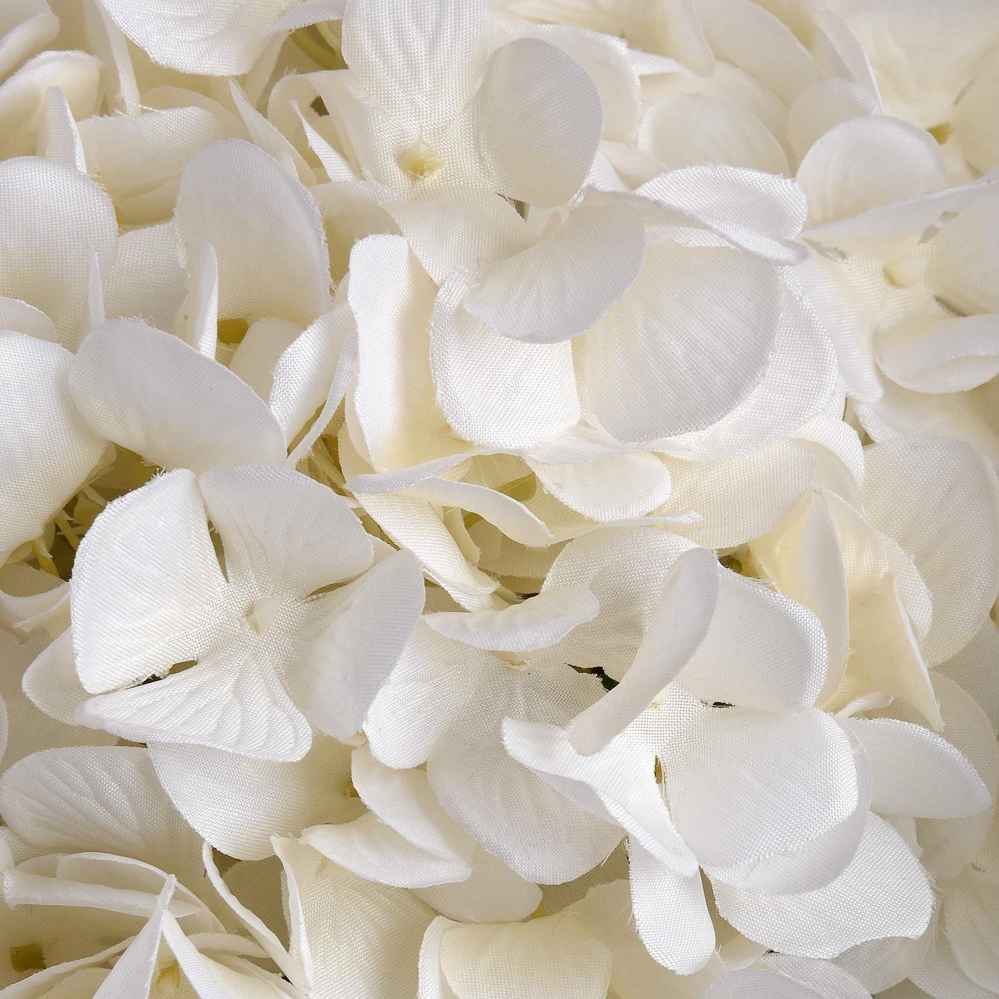 Elegant Oversized Hydrangea Bloom