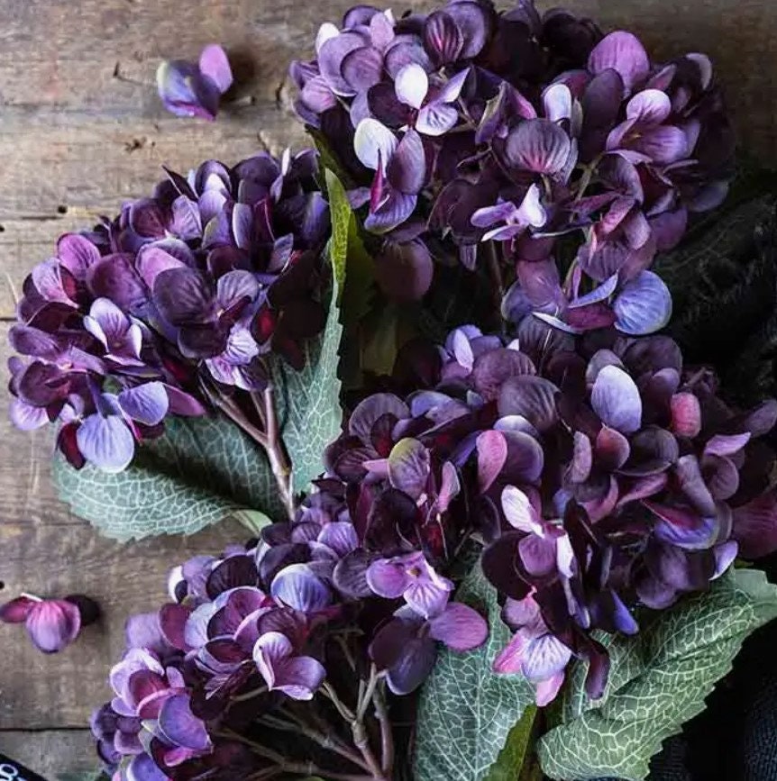 Elegant Purple Hydrangea Stem