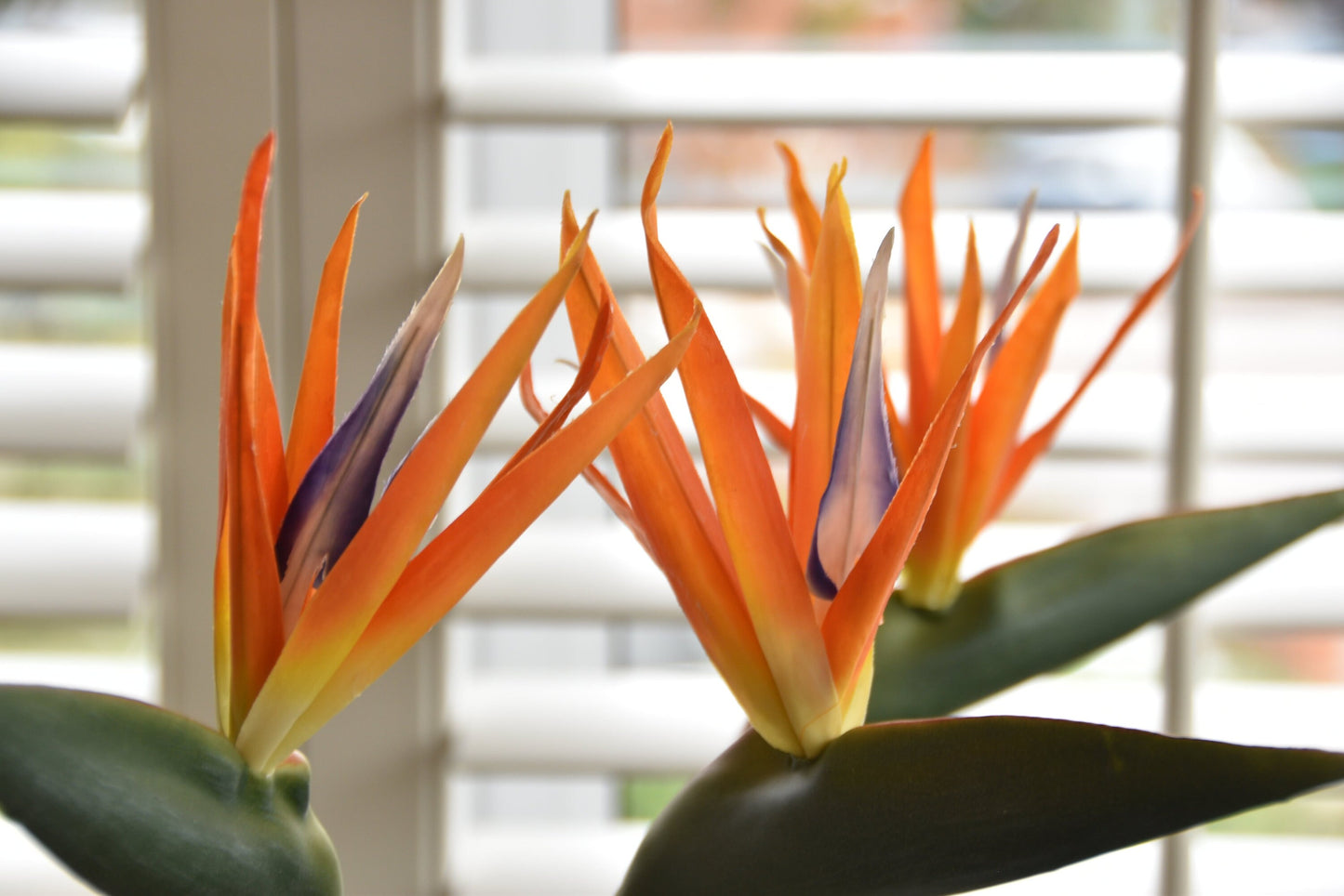 Elegant Faux Bird of Paradise Flower Stem