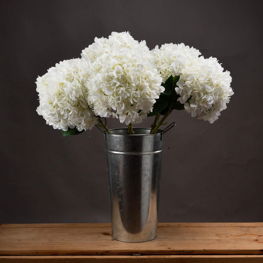 Elegant Oversized Hydrangea Bloom