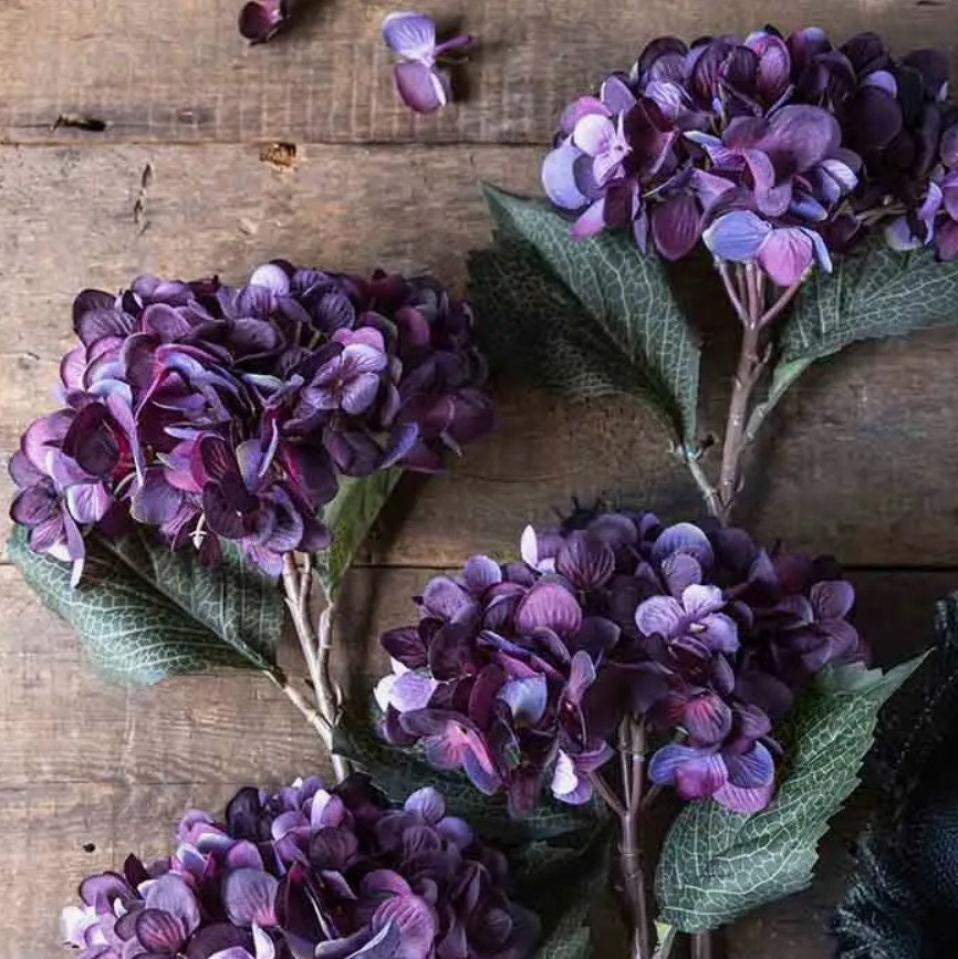 Elegant Purple Hydrangea Stem